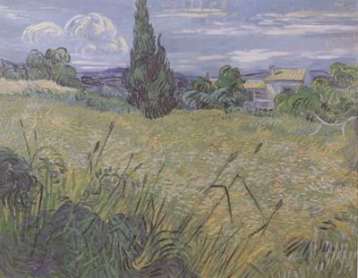 Vincent Van Gogh Green Wheat Field with Cypress (nn04) Norge oil painting art